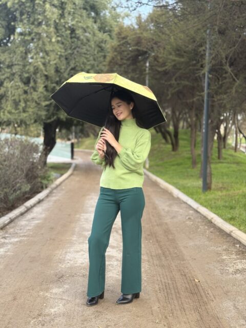 Paraguas Vincent Van Gogh